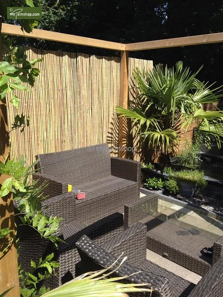 Bamboe Rolscherm Naturel 150 X 180 Cm 4 Bamboe Rolscherm Naturel 150 X 180 Cm - Afbeelding 2