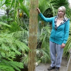 Bamboe Harmonica Trellis 180 X 180 Cm [pallet] -Flora Hart Verkoopwinkel 1927581879