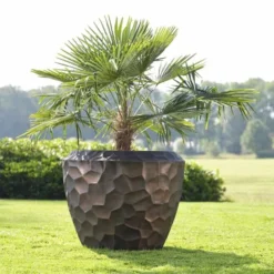 Cascara - Brons - D111H91 Cm [pallet] -Flora Hart Verkoopwinkel 1936763097