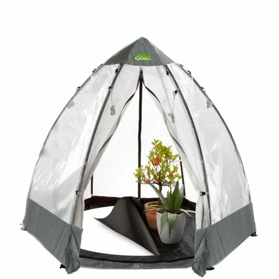 Overwinteringstent Tropical Island - Type L - H: 200 Cm - Ø 240 Cm 3 Overwinteringstent Tropical Island - Type L - H: 200 Cm - Ø 240 Cm