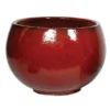 Glorious Bowl - Oxblood - D58H41 Cm [pallet] -Flora Hart Verkoopwinkel 1950113820