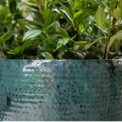 Thom - Ocean - D40H37 Cm 9 Thom - Ocean - D40H37 Cm -Flora Hart Verkoopwinkel 1956201744