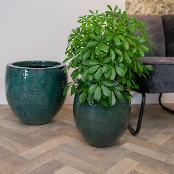 Thom - Ocean - D30H27 Cm 4 Thom - Ocean - D30H27 Cm - Afbeelding 2