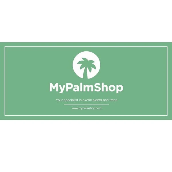 Cadeaubon € 100,- 3 Cadeaubon € 100,- - Afbeelding 2