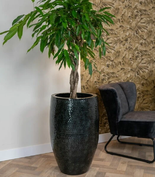 Thom Hoog - Black - D44H69 Cm 5 Thom Hoog - Black - D44H69 Cm - Afbeelding 3