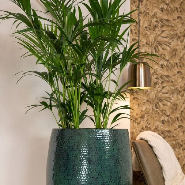 Thom Hoog - Ocean - D44H69 Cm 5 Thom Hoog - Ocean - D44H69 Cm - Afbeelding 3