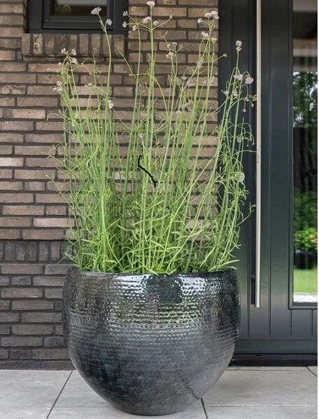 Thom - Black - D54H44 Cm 4 Thom - Black - D54H44 Cm - Afbeelding 2