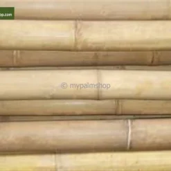 Bamboestokken 10 X - 180 Cm X Ø 18-20 Mm [pallet] -Flora Hart Verkoopwinkel 1980176745