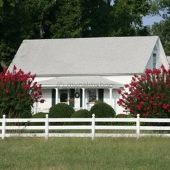 Lagerstroemia Indica Berry Dazzle - Totale Hoogte 30-40 Cm - Pot Ø 18 Cm -Flora Hart Verkoopwinkel 1991161950