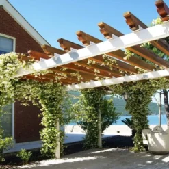 Trachelospermum Jasminoides - Pot Ø 45 Cm [pallet] -Flora Hart Verkoopwinkel 1991606067