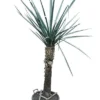 Yucca Torreyi Stam 90-100 Cm [pallet] -Flora Hart Verkoopwinkel 1991664129
