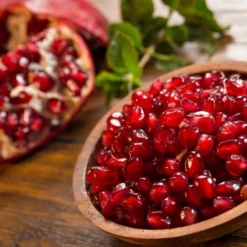 Punica Granatum Dente Di Cavallo - Pot 2 Ltr 8 Punica Granatum Dente Di Cavallo - Pot 2 Ltr -Flora Hart Verkoopwinkel 1991666157