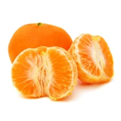 Citrus Reticulata - Pot Ø 45 Cm [pallet] -Flora Hart Verkoopwinkel 1991670003