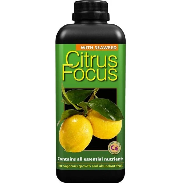 Citrus Focus - 1000 Ml 3 Citrus Focus - 1000 Ml