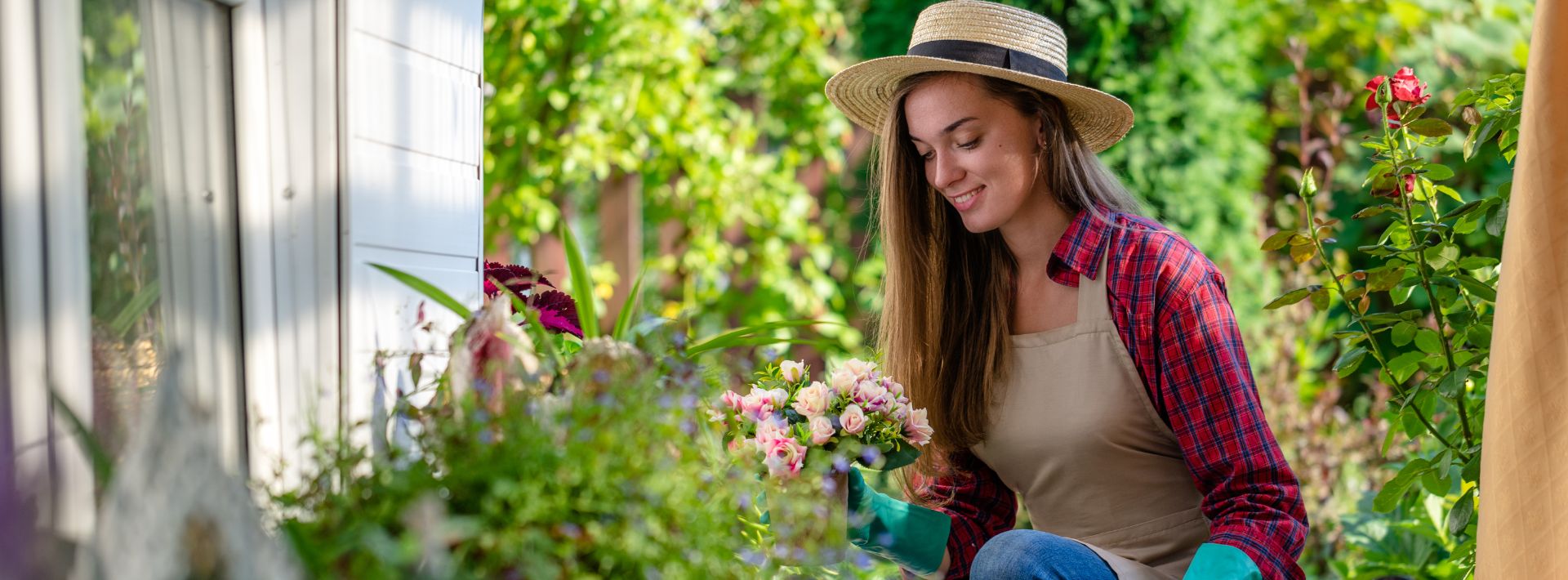 Flora Hart Verkoopwinkel -Flora Hart Verkoopwinkel FAQ Home Garden Desktop 1